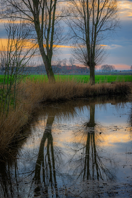 langzaam naar de avond