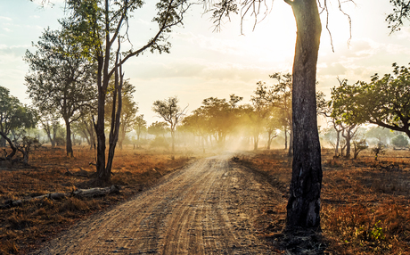 Zandweg in Zambia