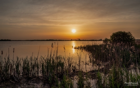 Zonsondergang bij het Dannemeer.