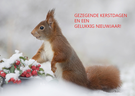Gezegende Kerstdagen en een Gelukkig NIeuwjaar