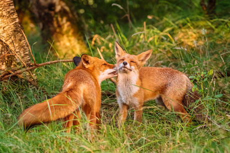 Graag daar dat ene plekje