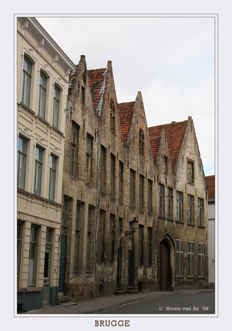 Brugge XI