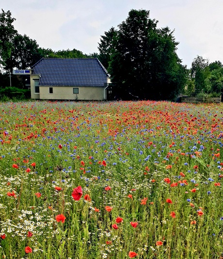 Bloemenweelde