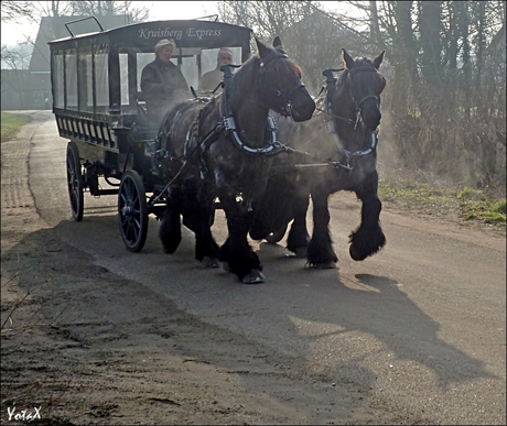 gewerkt als een paard.........