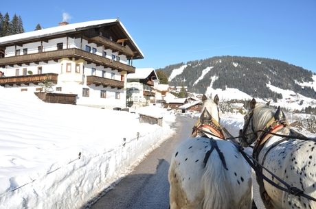 Niederau Oostenrijk paardenrit