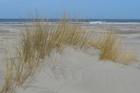 Duin en zee Terschelling