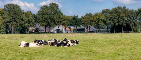 Hollands Landschap