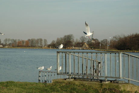 Zicht op de Zijl