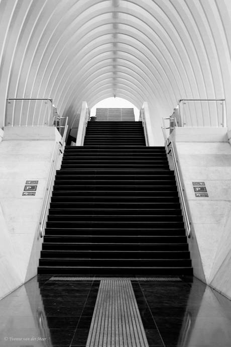 Station Luik zwart/wit