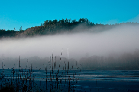 Zweden in de mist