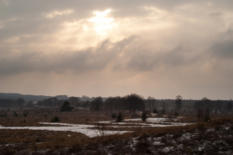 Winter op de Sallandse Heuvelrug