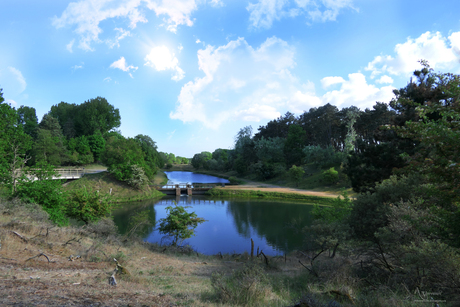 Landschap