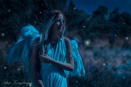 Fairy night