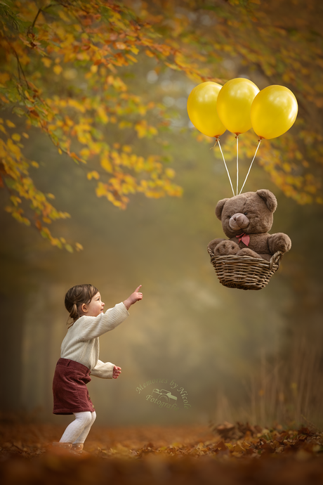 Catch the bear ❤️