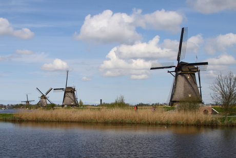 Kinderdijk crop