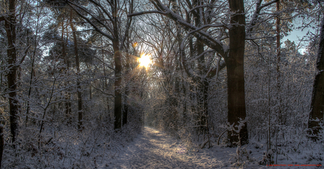 Winterlandschap 3