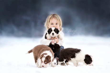 winter beauty with lovely dogs