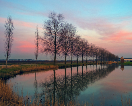 Bomen, kleuren en reflecties