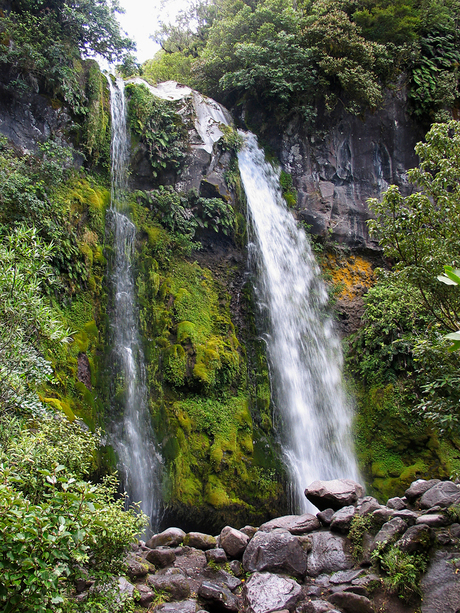 Dawson Falls