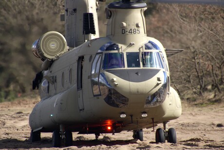 Chinook 