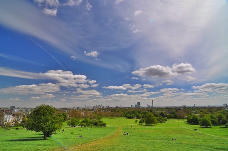 Heuveltje in een Londen's park
