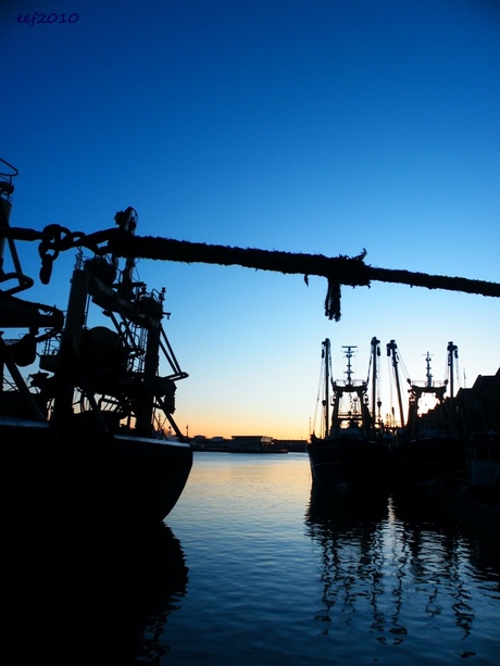 Scheveningse Haven.........