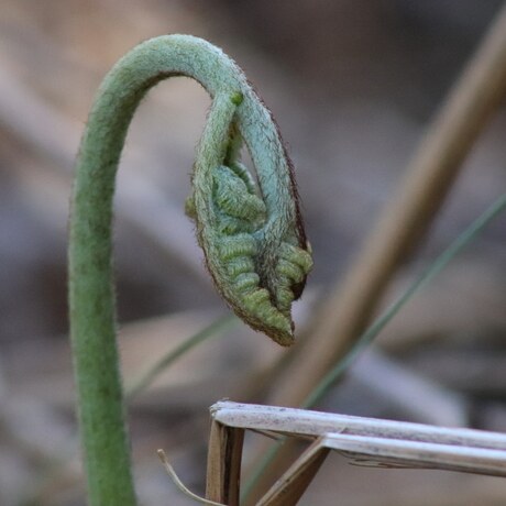 IMG_20200517_192521_636