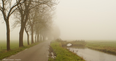 Weg door de mist.