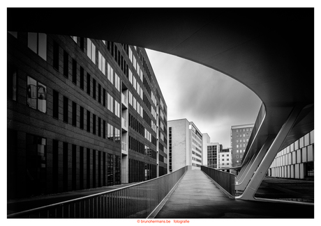 Fietshelling naar Parkbrug Antwerpen