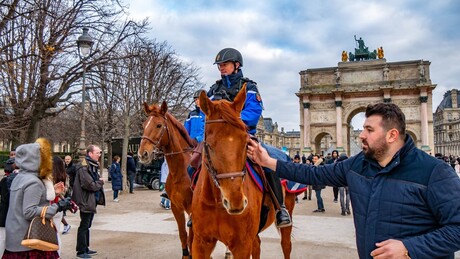 Doux cheval de Paris - Les Parisiens