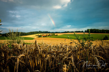 Regenboog in het Limburgs landschap