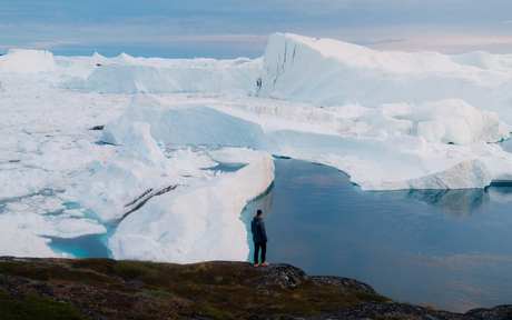 Among the ice giants