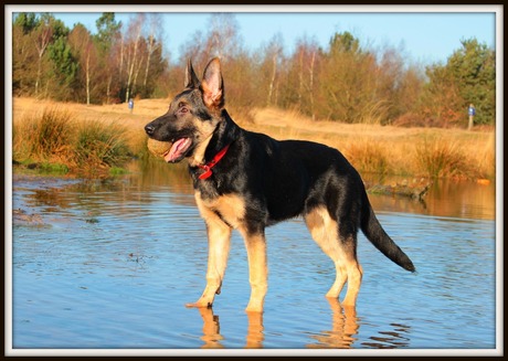 Lekker in de duinen