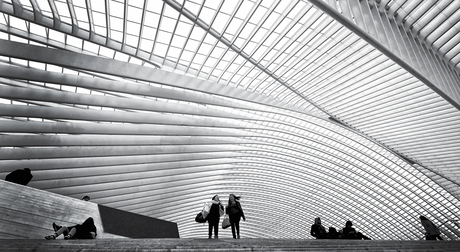 LUIK-GUILLEMINS..06