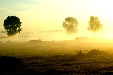 Morning Landscape Layers