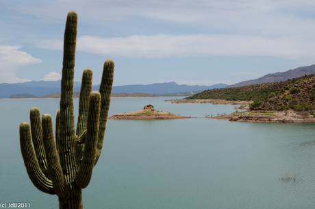 Roosevelt Lake