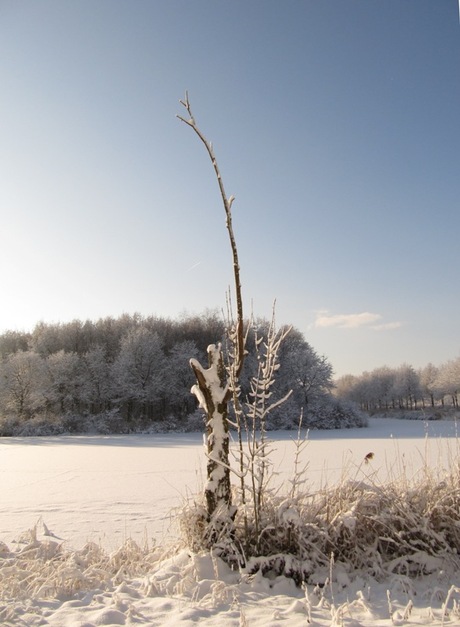 Naturpark Lelystad