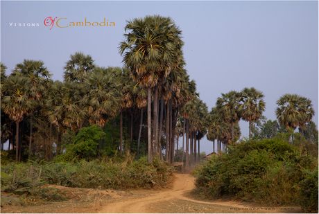 Visions Of Cambodia