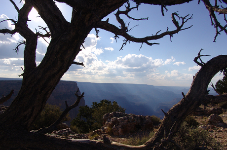 Grand Canyon