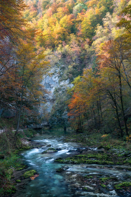 Slovenië in de herfst
