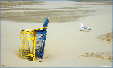 Verlaten strand, dus geen eten...