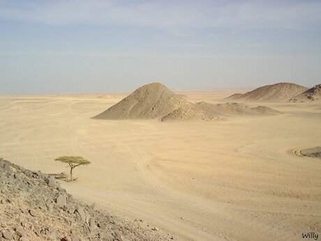 Eenzaam in de woestijn