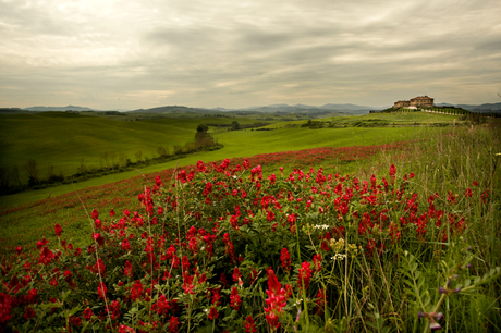 Toscane