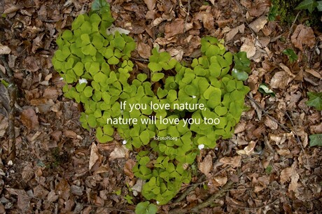 Nature quote