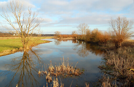 lingen aan de rijn