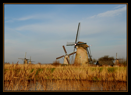 Windmolen Kinderdijk (10)