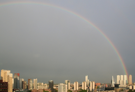 Rotterdam-regenboog.jpg