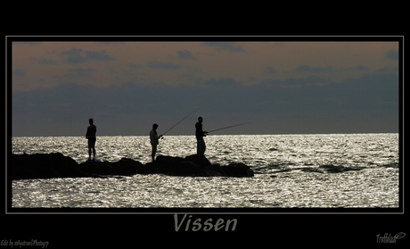 Vissen