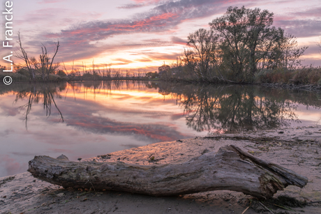 Zonsondergang in de Biesbosch