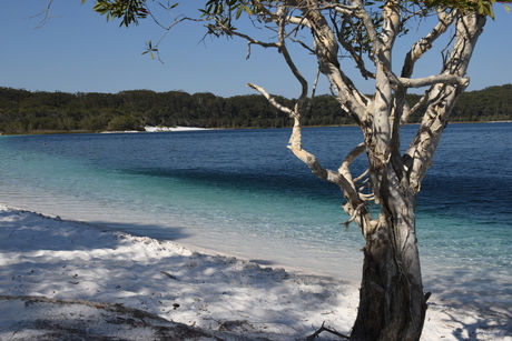 Fraser Island